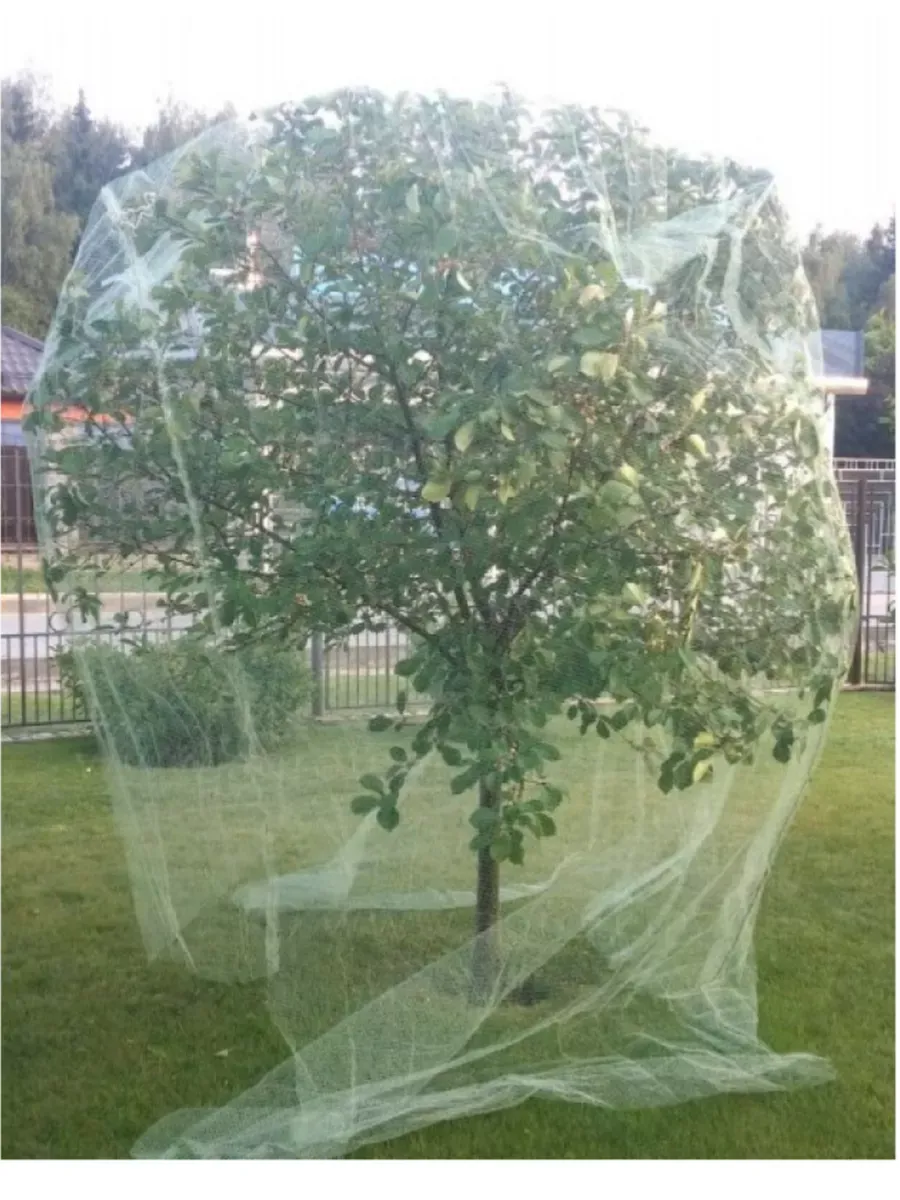 Сетка от птиц У-6/2/5 размер 2х5м, хаки