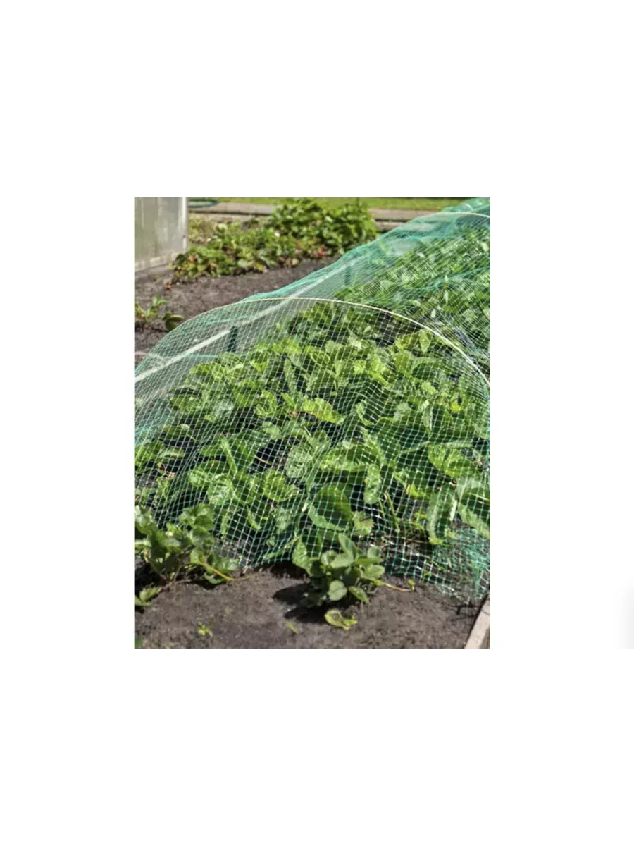 Навес от птиц Защитник 5м (3 дуги + сетка от птиц)