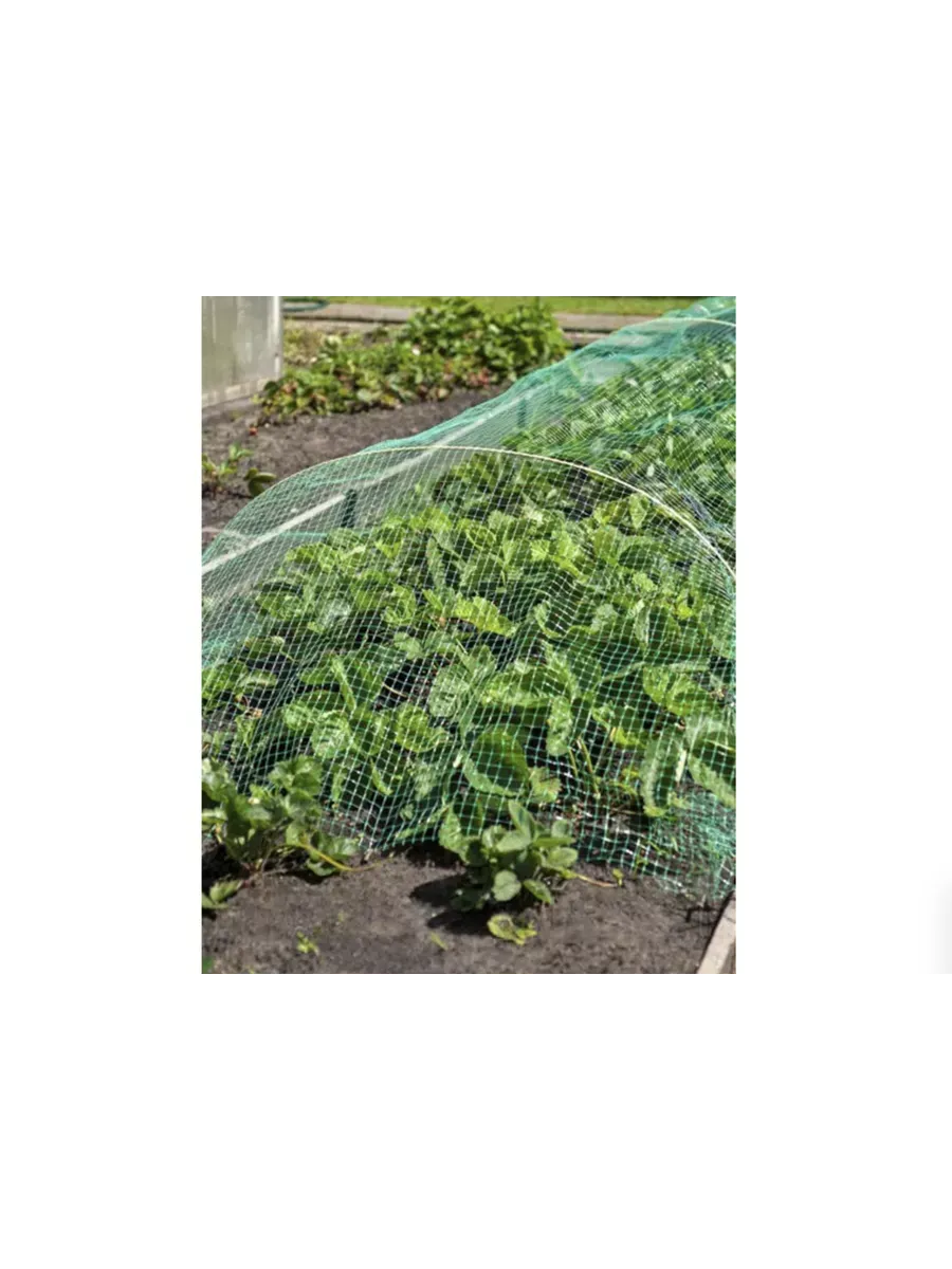 Навес от птиц Защитник 5м (3 дуги + сетка от птиц)