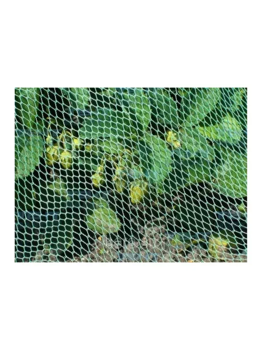 Сетка от птиц полиэфирная 3х10м, зелёная