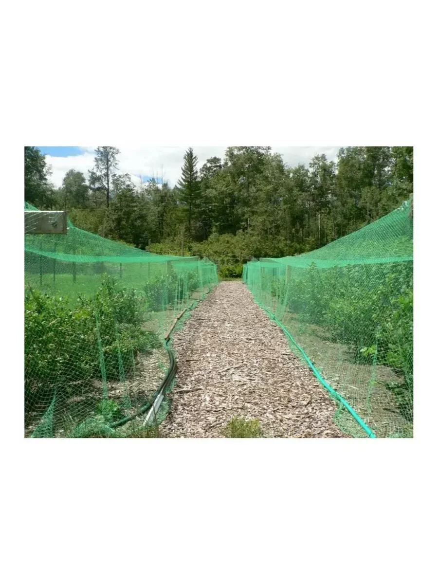 Сетка от птиц Интерлок 2х5м, зеленая
