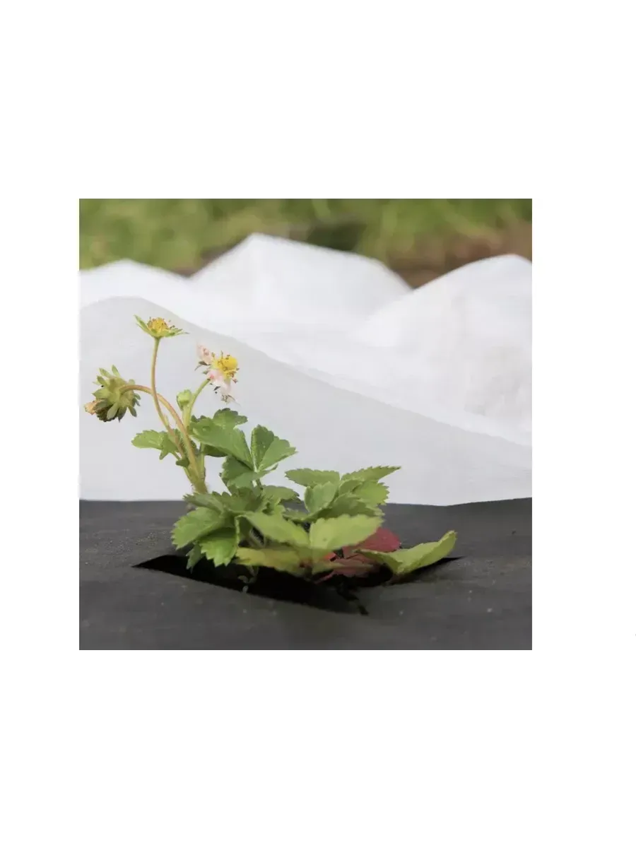 Укрывной материал спанбонд СУФ №30 рулон 3,2х25м, белый Укрывной материал спанбонд СУФ №30 рулон 3,2х25м, белый