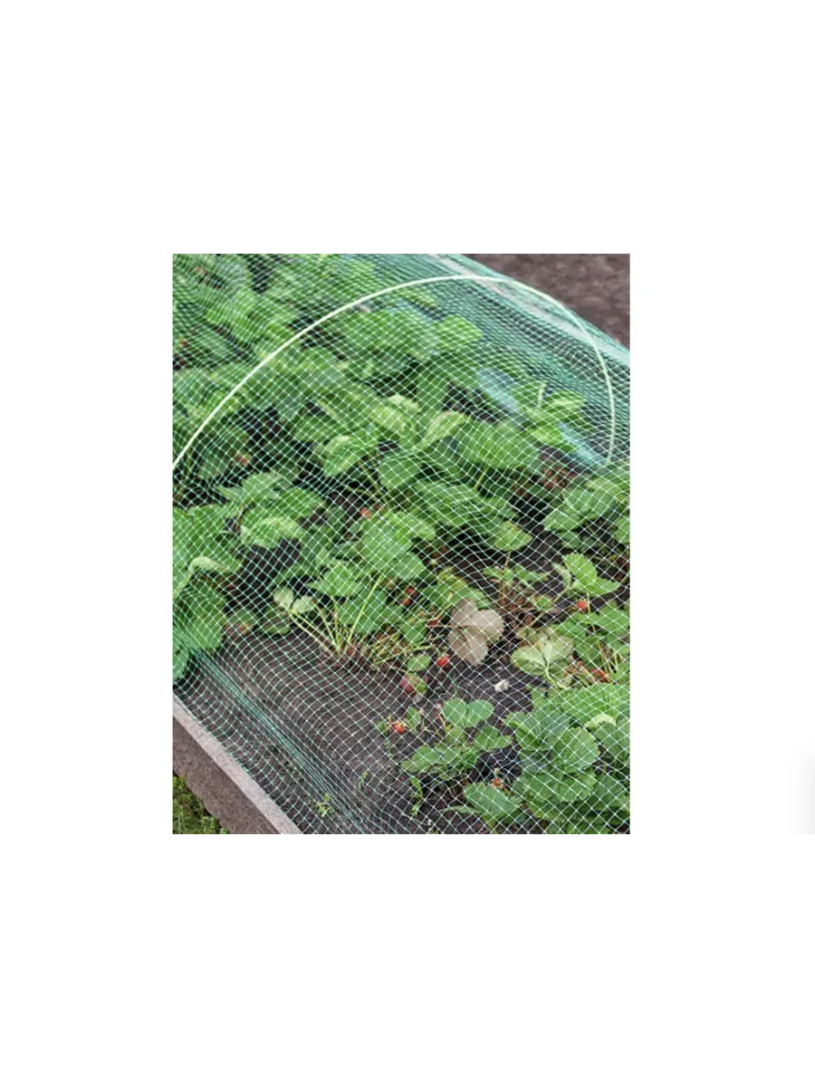 Навес от птиц Защитник 5м (3 дуги + сетка от птиц)