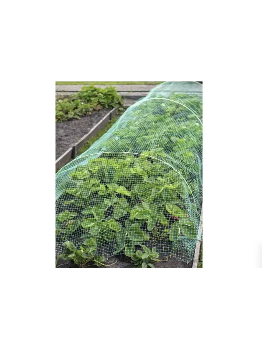 Навес от птиц Защитник 5м (3 дуги + сетка от птиц)