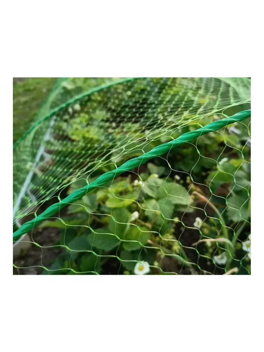 Сетка от птиц Интерлок 3х5м, зеленая