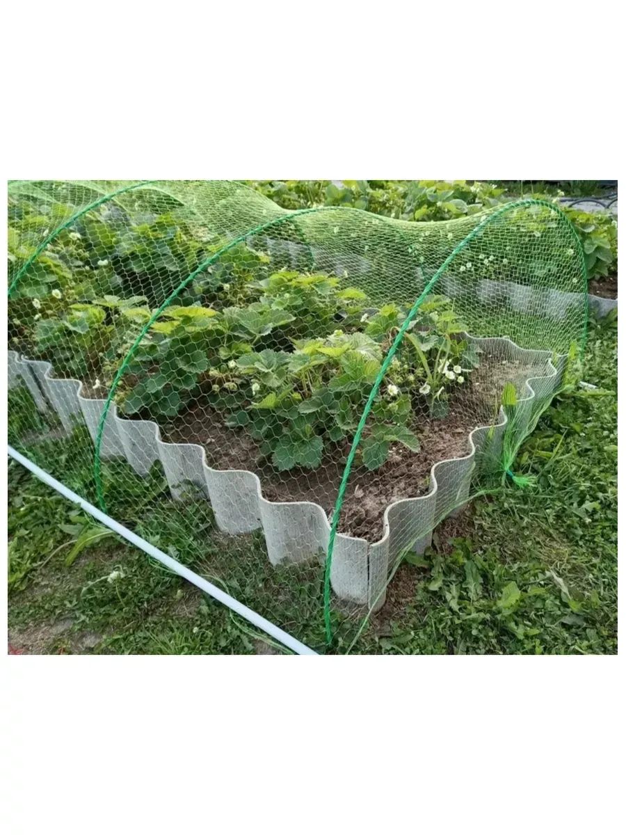 Сетка от птиц Интерлок 4х5м, зеленая