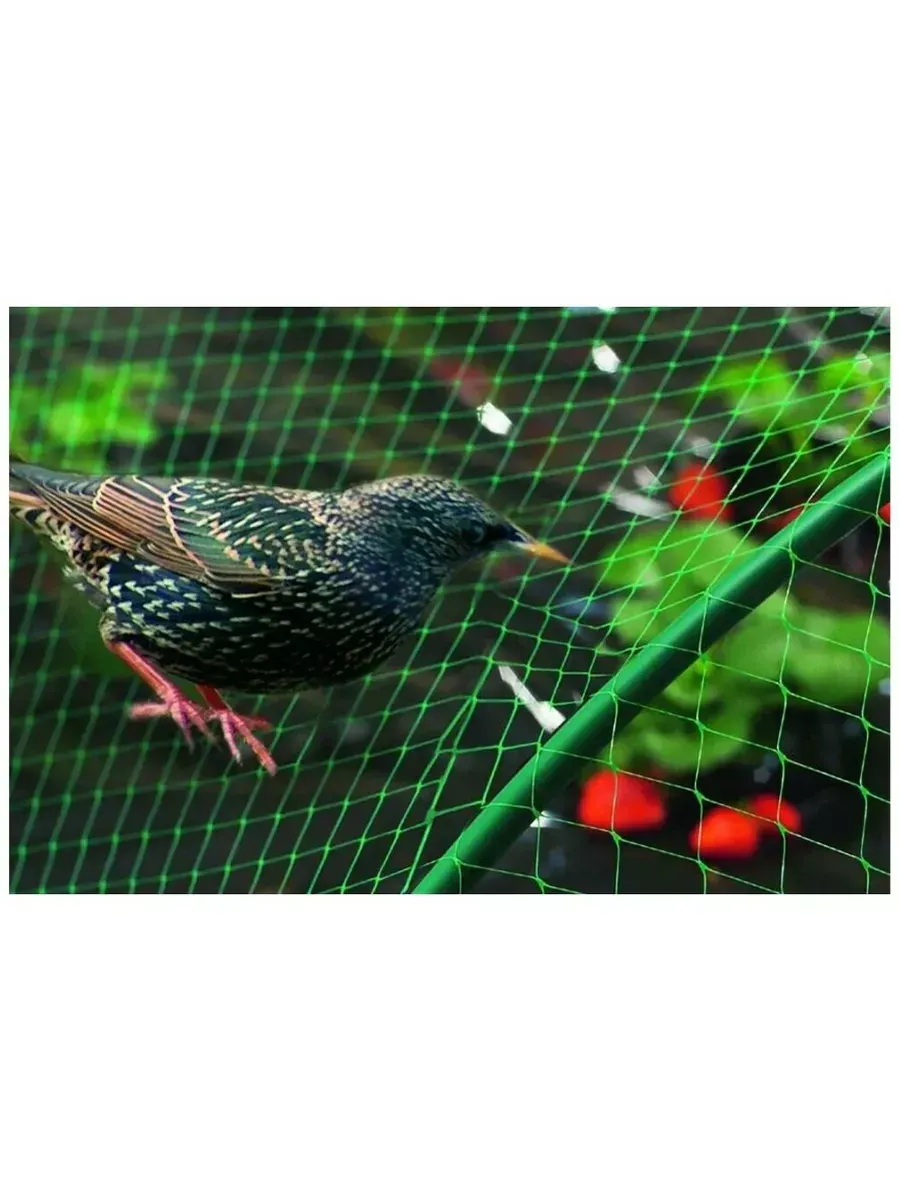 Сетка от птиц Интерлок 2х10м, зеленая