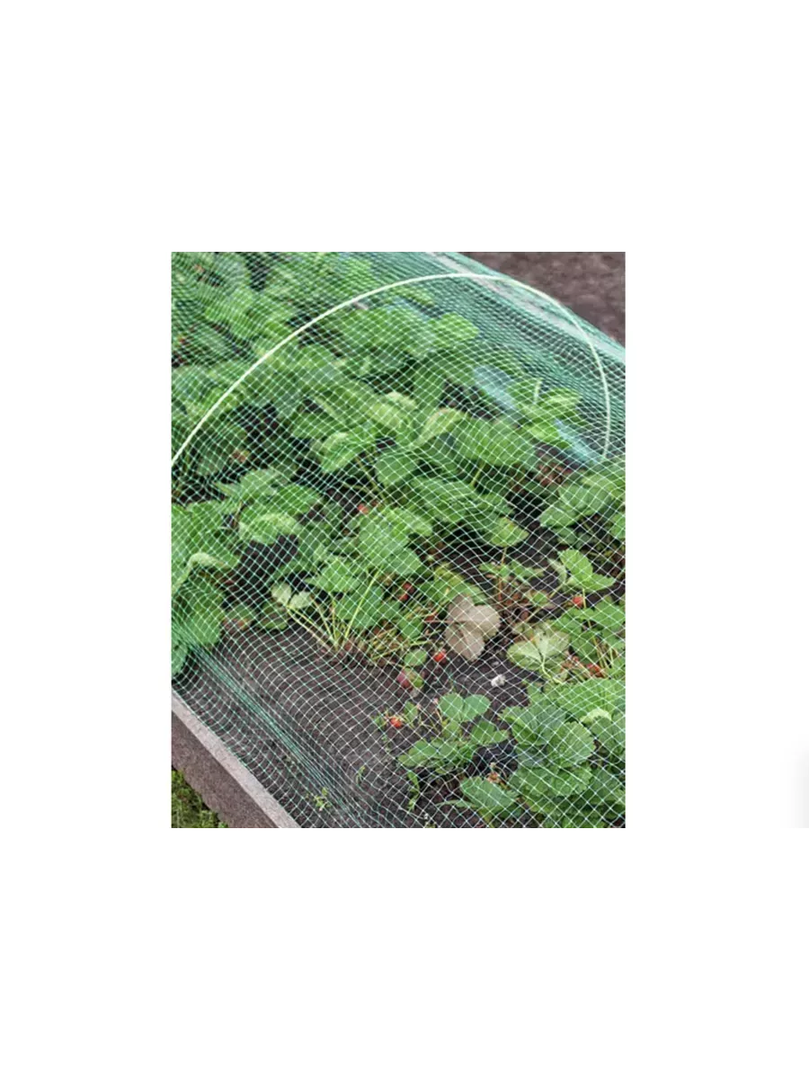 Навес от птиц Защитник 5м (3 дуги + сетка от птиц)