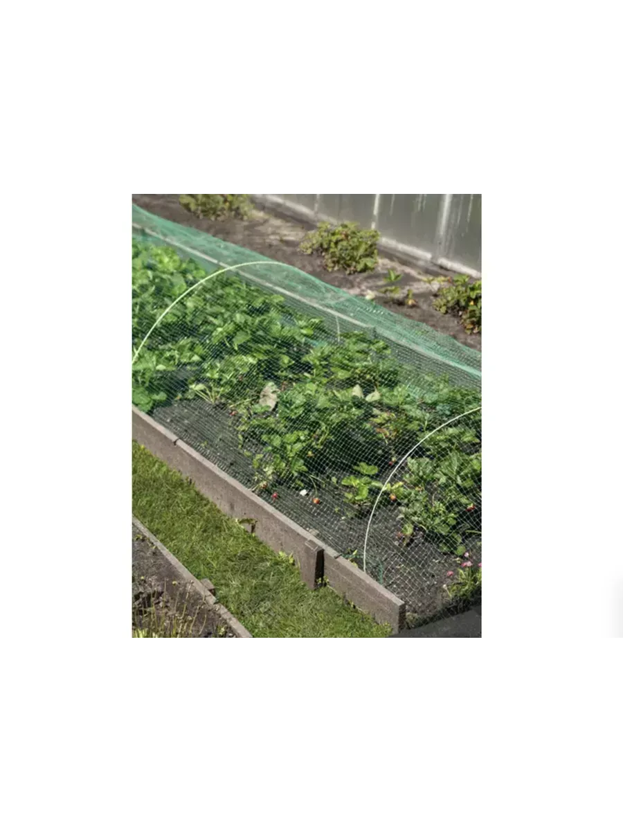 Навес от птиц Защитник 5м (3 дуги + сетка от птиц)