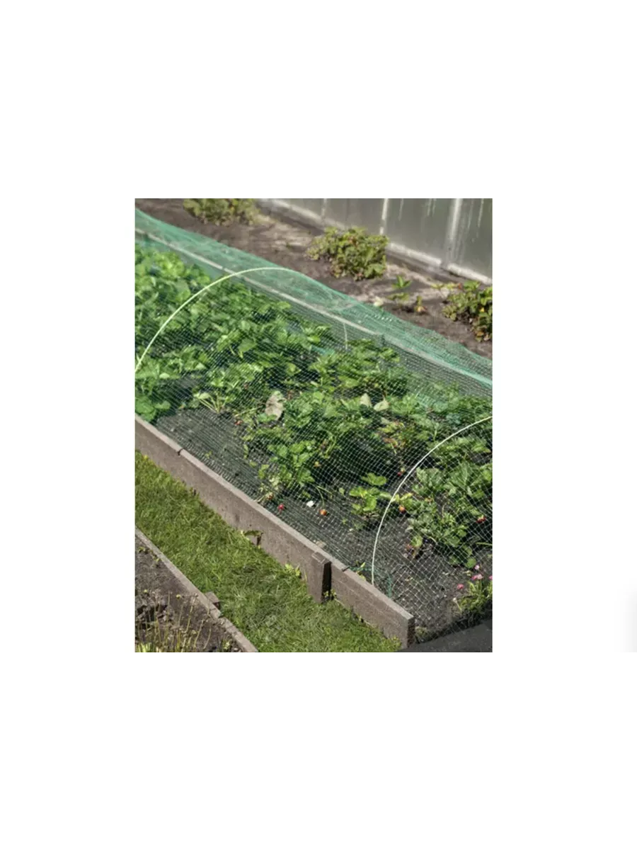 Навес от птиц Защитник 5м (3 дуги + сетка от птиц)