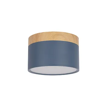 Детский точечный светильник LOFT IT 10162 Blue