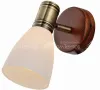 Спот TOPLIGHT TL3720Y-01BB
