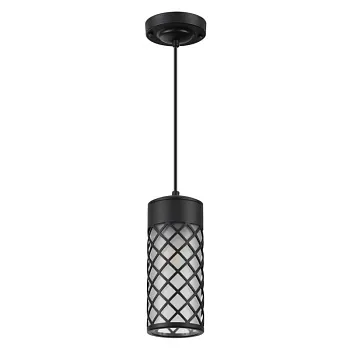 Подвесной уличный светильник Odeon Light 4834/1 Подвесной уличный светильник Odeon Light 4834/1
