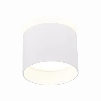 Накладной светильник ST-Luce ST102.542.12