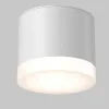 Влагозащищенный светильник Maytoni Technical C087CL-GX53-W Влагозащищенный светильник Maytoni Technical C087CL-GX53-W