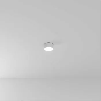 Накладной светильник ARTE Lamp A6612PL-1WH