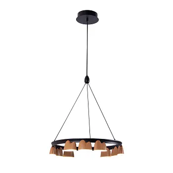 Подвесная люстра Favourite 4266-9P