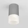 Накладной уличный светильник Elektrostandard Light LED 2106 (35139/H) серый