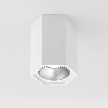 Накладной светильник Elektrostandard 25036/LED 7W 4200K белый матовый/серебро