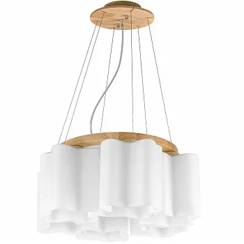 Подвесная люстра Lightstar 802165 Подвесная люстра Lightstar 802165