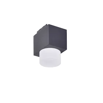 Накладной светильник Favourite 4153-1U