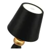 Настольная лампа ST-Luce SL1011.414.01 Настольная лампа ST-Luce SL1011.414.01