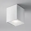 Влагозащищенный светильник Maytoni Technical C030CL-01W Влагозащищенный светильник Maytoni Technical C030CL-01W