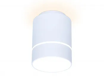 Накладной светильник Ambrella Light TN256