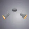 Спот ARTE Lamp A1677PL-2GY