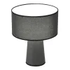 Настольная лампа ST-Luce SL1354.704.01 Настольная лампа ST-Luce SL1354.704.01