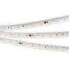 Лента Arlight 029402(2)