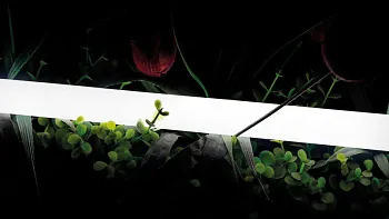 Гибкий неон SWG pro SWG-2360-24-WW-66