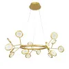 Подвесная люстра F-Promo 4253-15P