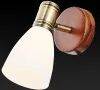 Спот TOPLIGHT TL3720Y-01BB
