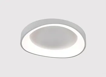 Накладной светильник ARTE Lamp A2698PL-60WH
