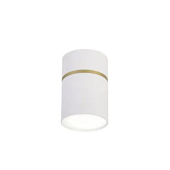 Накладной светильник Favourite 3067-1C