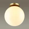 Накладной светильник Odeon Light 4248/1C