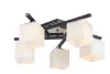 Накладная люстра ARTE Lamp A8165PL-5BK
