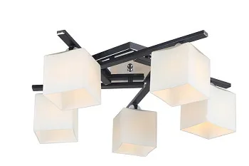 Накладная люстра ARTE Lamp A8165PL-5BK