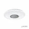 Накладной светильник iLedex ZN-XU48XD-GSR-YK
