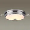 Накладной светильник Odeon Light 4825/3C