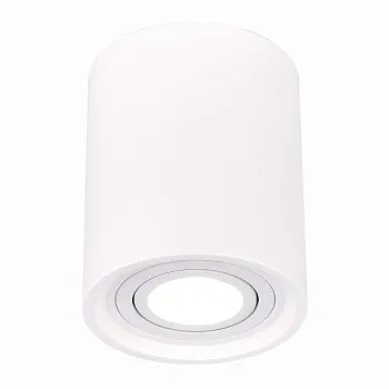 Накладной светильник ST-Luce ST156.502.01