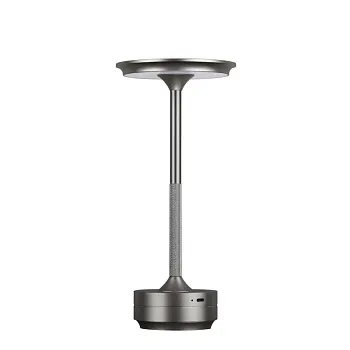 Настольная лампа Odeon Light 5035/6TL Настольная лампа Odeon Light 5035/6TL