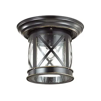 Накладной уличный светильник Odeon Light 4045/1C Накладной уличный светильник Odeon Light 4045/1C