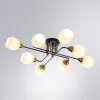 Накладная люстра ARTE Lamp A8141PL-8BK