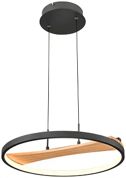 Подвесной светильник VELANTE 450-043-01