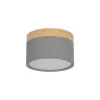 Детский точечный светильник LOFT IT 10162 Grey