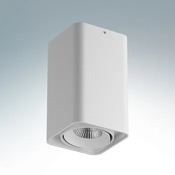 Влагозащищенный светильник Lightstar 052136 Влагозащищенный светильник Lightstar 052136