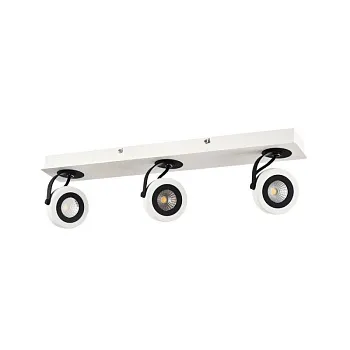 ECO161-03-W