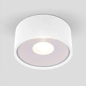 Накладной уличный светильник Elektrostandard Light LED 2135 (35141/H) белый Накладной уличный светильник Elektrostandard Light LED 2135 (35141/H) белый